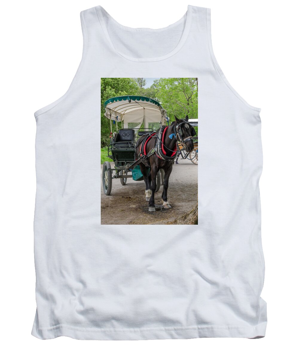 Kerry Scene Tank Top featuring the photograph Horse and Cart in Kerry by Martina Fagan