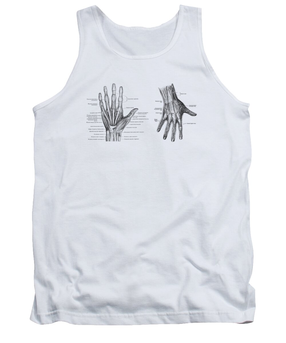 Hand Anatomy Tank Top featuring the drawing Human Hand Anatomy - Dual View - Vintage Diagram by Vintage Anatomy Prints