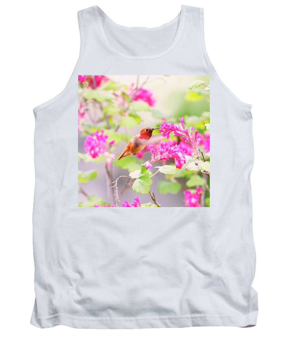 Hummingbird Tank Top featuring the photograph Hummingbird in Spring by Peggy Collins