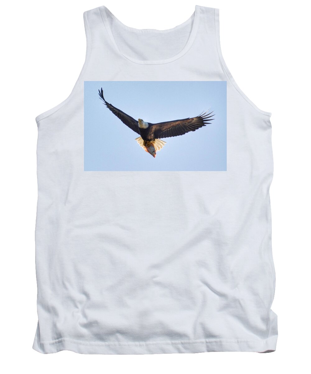 Bald Eagle Tank Top featuring the photograph Hungry Eagle by Sumoflam Photography