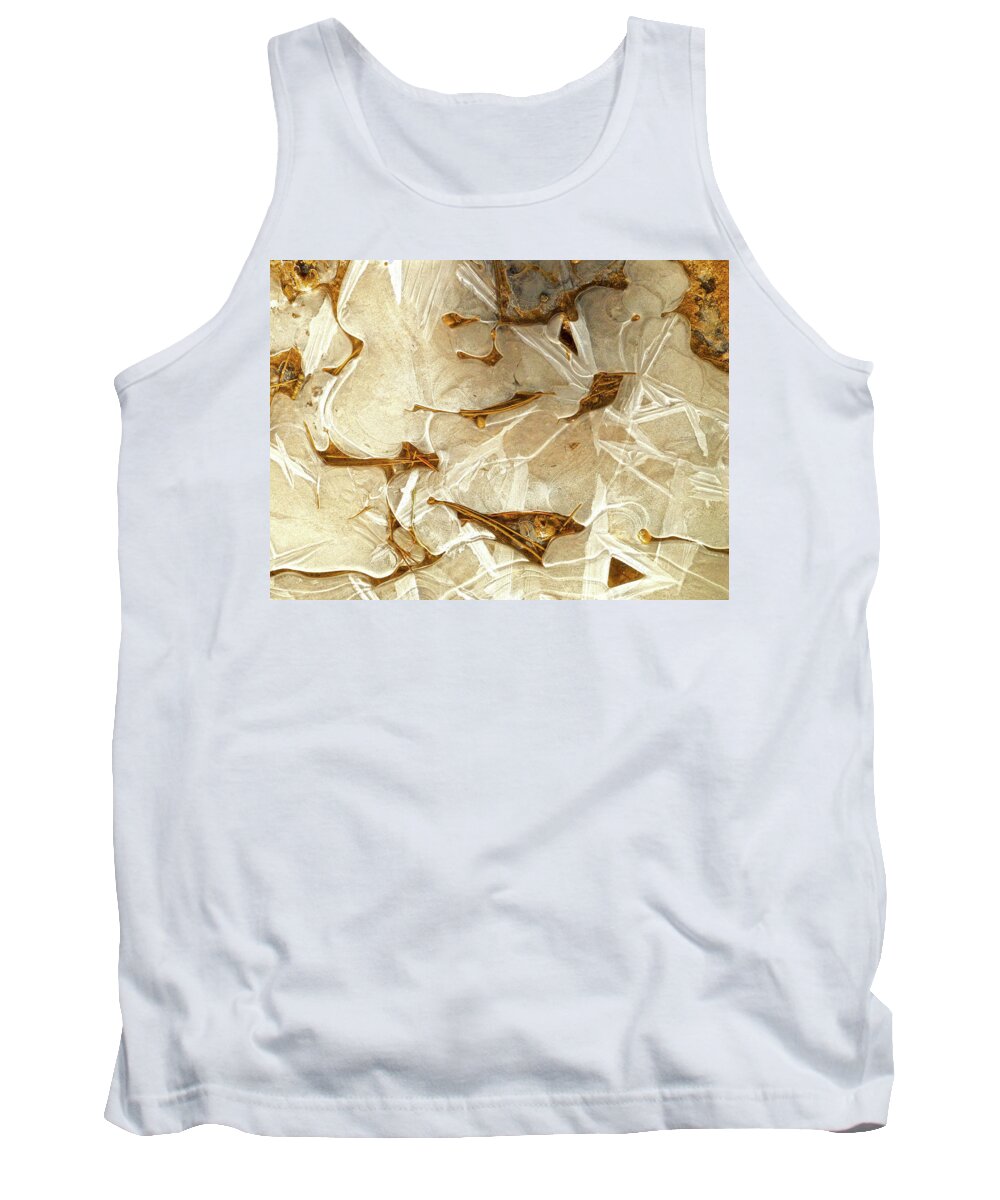 Bryce Canyon Tank Top featuring the photograph Ice and Needles, Bryce Canyon by Amelia Racca