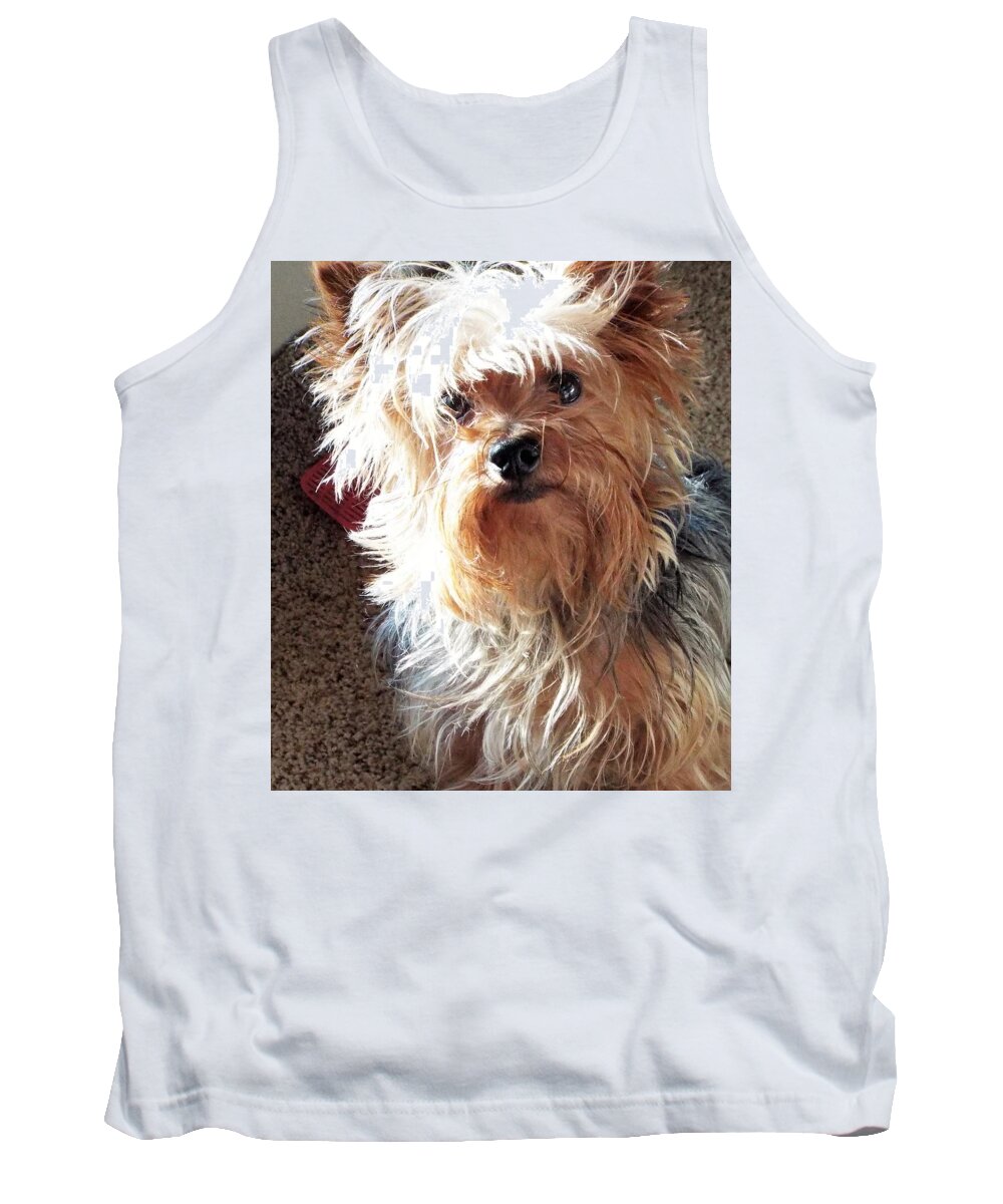 Yorkie Tank Top featuring the photograph Im hungry you hungry? by Michael Dillon