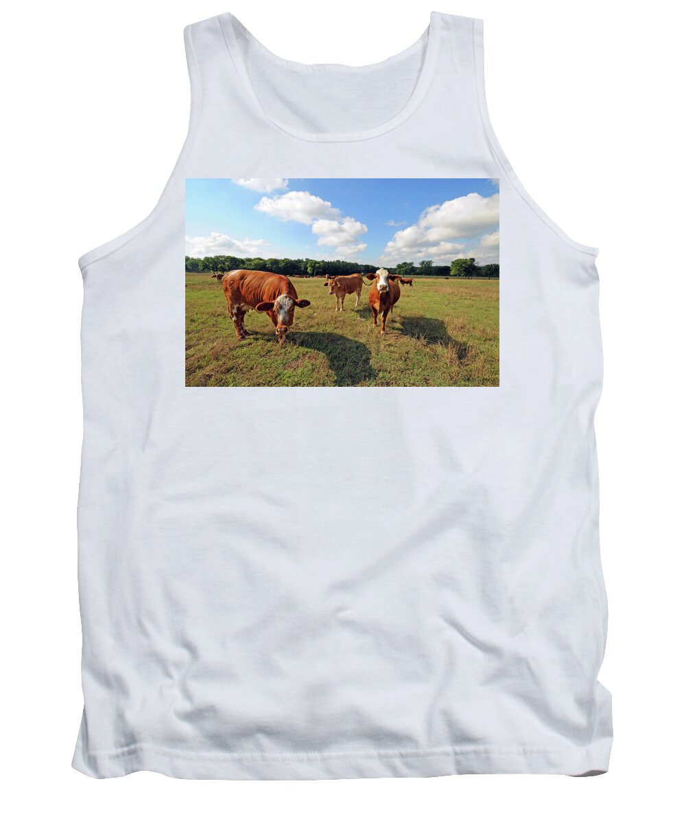 Inquisitive Tank Top featuring the photograph Inquisitive Cattle by Ted Keller
