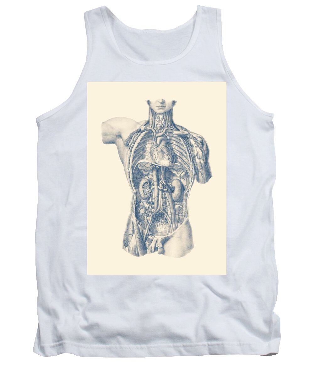 Circulatory System Tank Top featuring the drawing Interior Venous and Circulatory Systems - Vintage Anatomy by Vintage Anatomy Prints