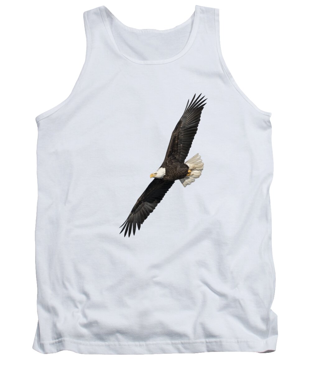 American Bald Eagle Tank Top featuring the photograph Isolated American Bald Eagle 2016-3 by Thomas Young