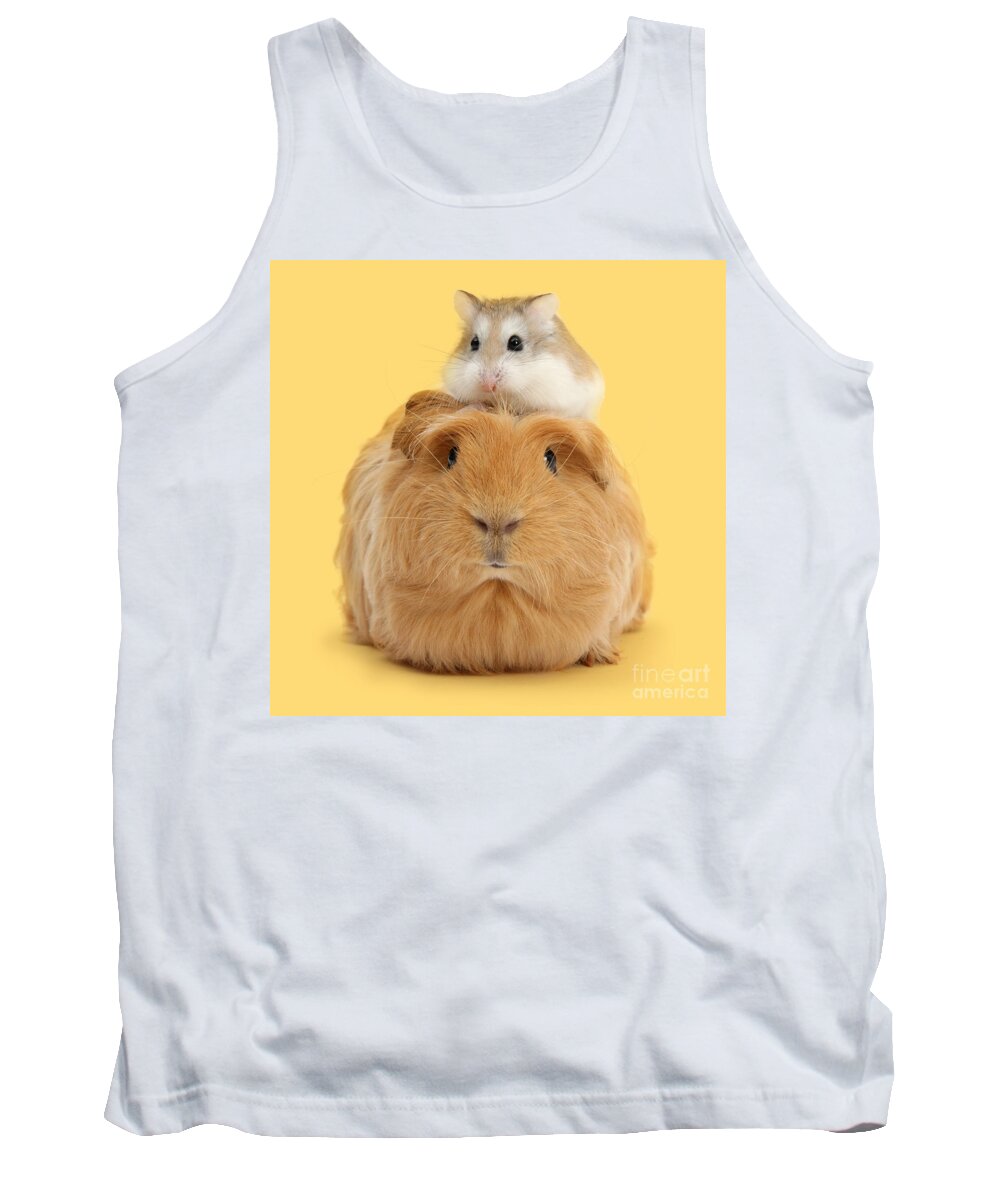Roborovski Hamster Tank Top featuring the photograph It's a Guinea wig by Warren Photographic