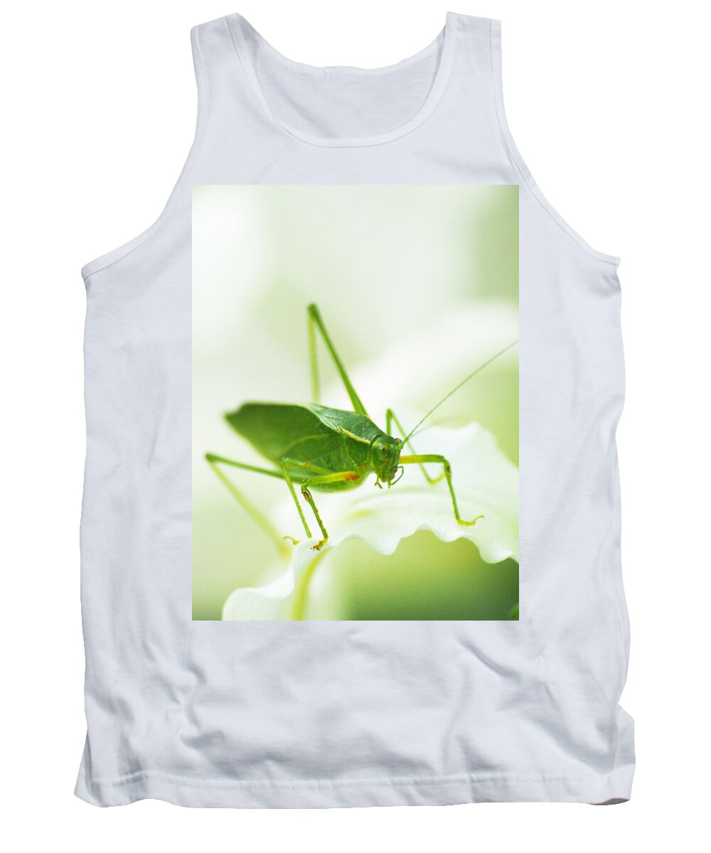 Bugs Tank Top featuring the photograph Katy by Dorothy Lee