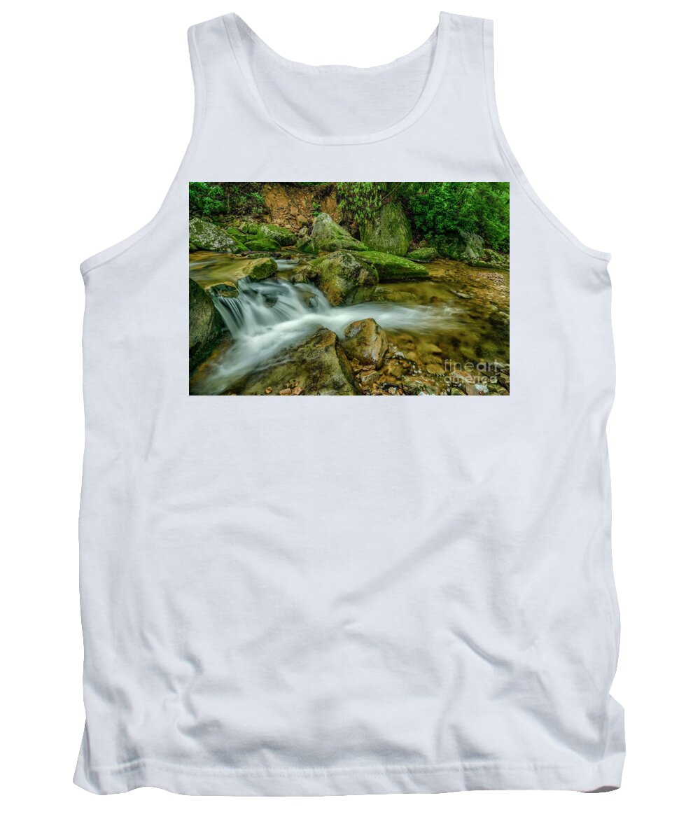 Kens Creek Tank Top featuring the photograph Kens Creek in Cranberry Wilderness by Thomas R Fletcher