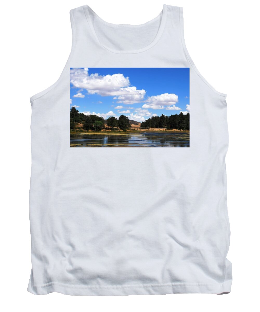 Tree Tank Top featuring the photograph Lake Cuyamac Landscape and Clouds by Matt Quest