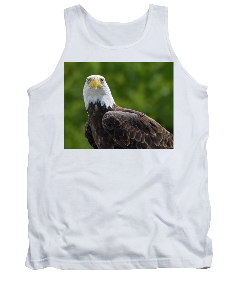 Bald Eagle Tank Top featuring the photograph Left Turn by Tony Beck
