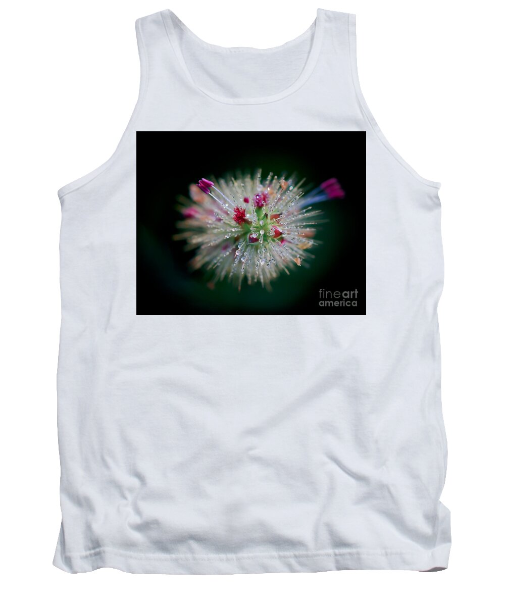 Droplets Tank Top featuring the photograph Little Drops 2 by Kerri Farley