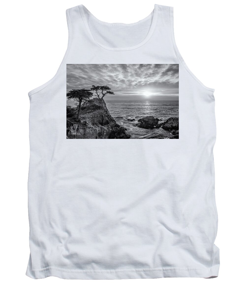 Lone Cypress Tank Top featuring the photograph Lone Cypress Classic by Bill Roberts