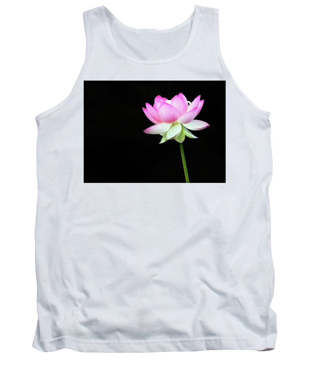 Lotus Tank Top featuring the photograph Lotus in the Pink by Art Cole