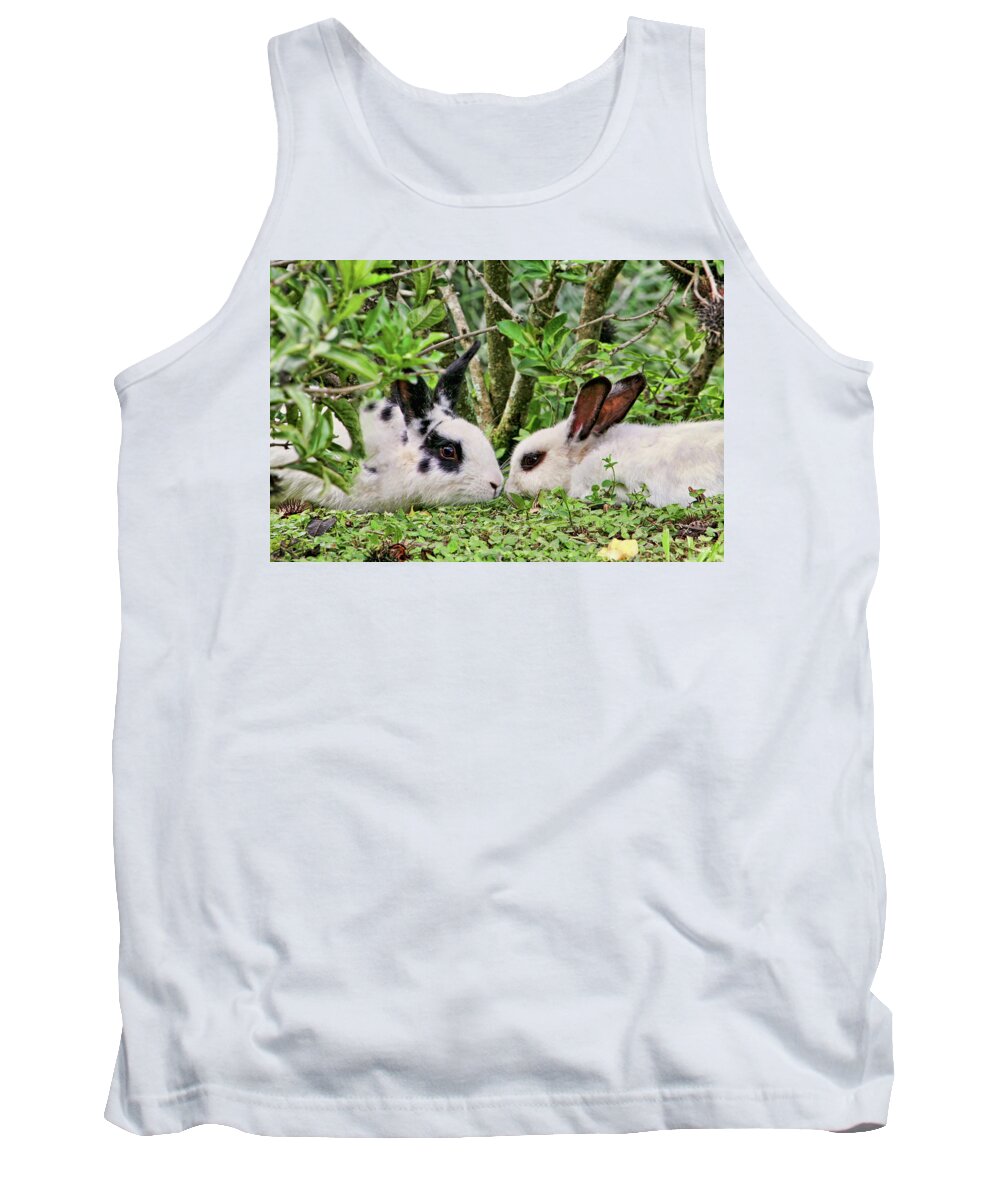 Rabbits Tank Top featuring the photograph Love Bunnies in Costa Rica by Peggy Collins