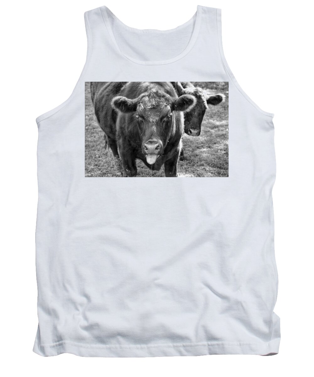 Cow Tank Top featuring the photograph Mad Cow by Joseph Caban