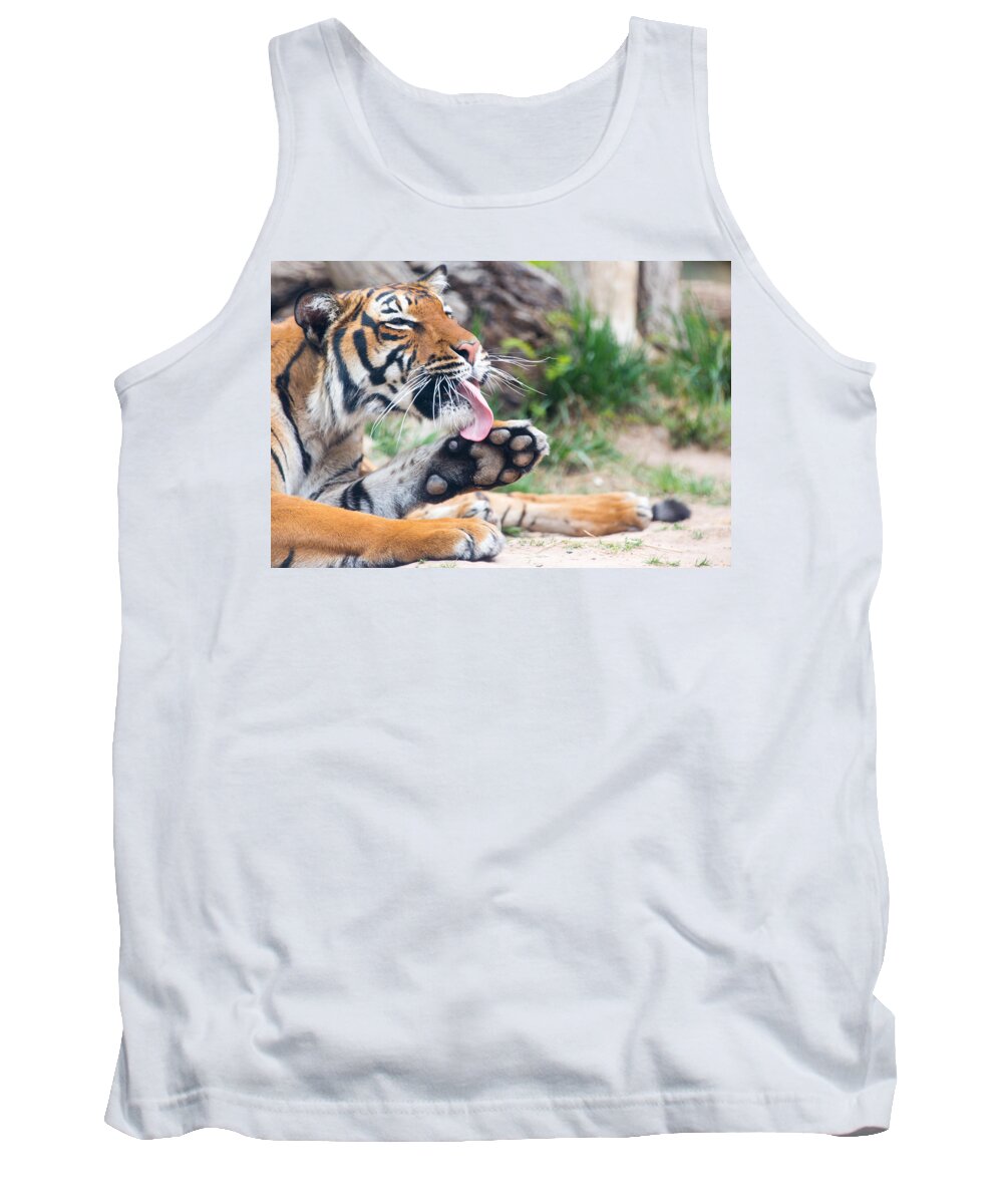 El Paso Tank Top featuring the photograph Malayan Tiger Grooming by SR Green