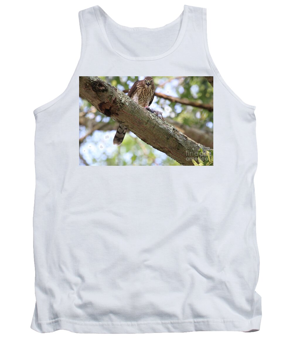 Hawk Tank Top featuring the photograph Mean Hawk at Dinner Time by Steven Spak