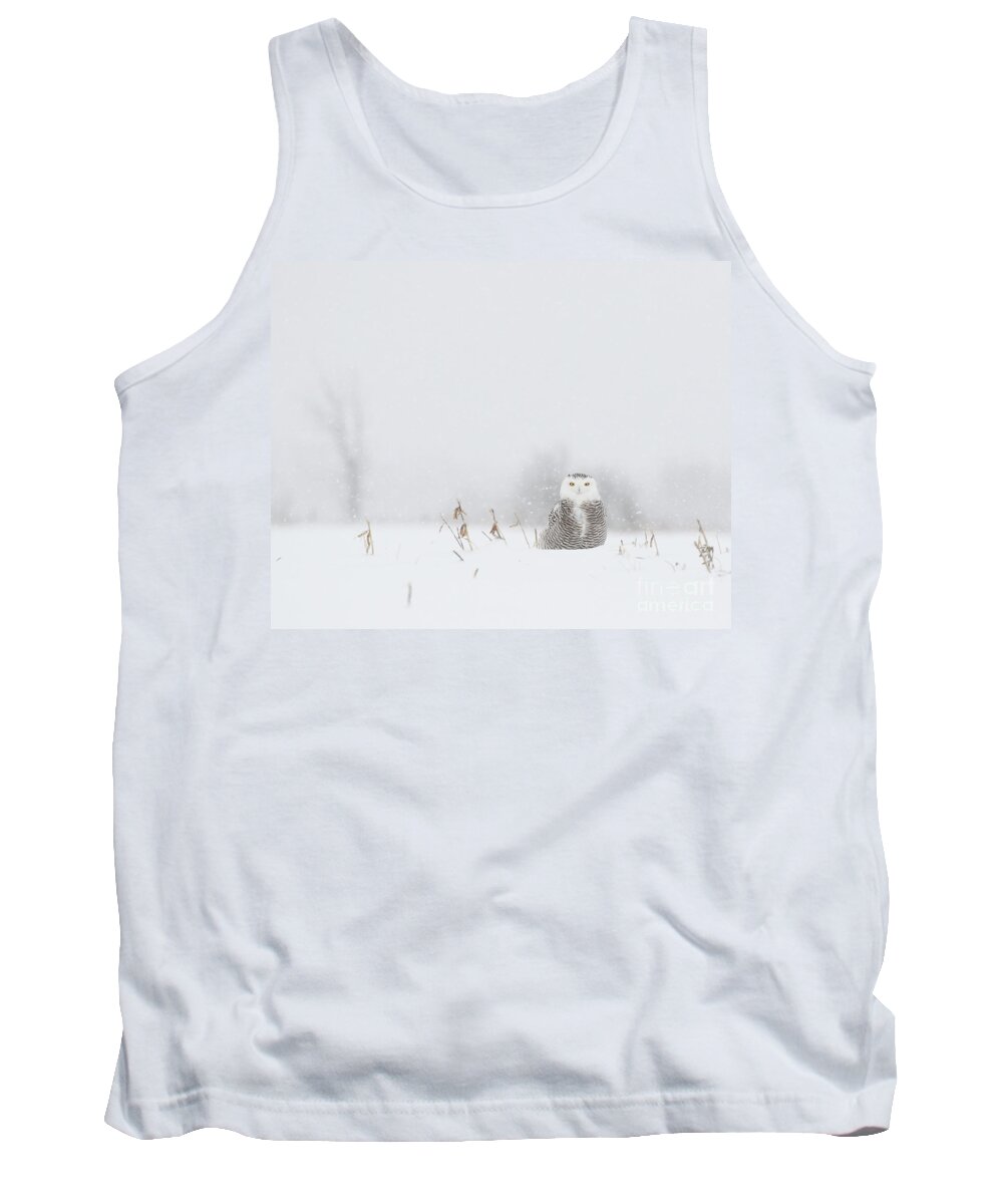 Snowy Owls Tank Top featuring the photograph Miss snowy owl and her snowflakes by Heather King