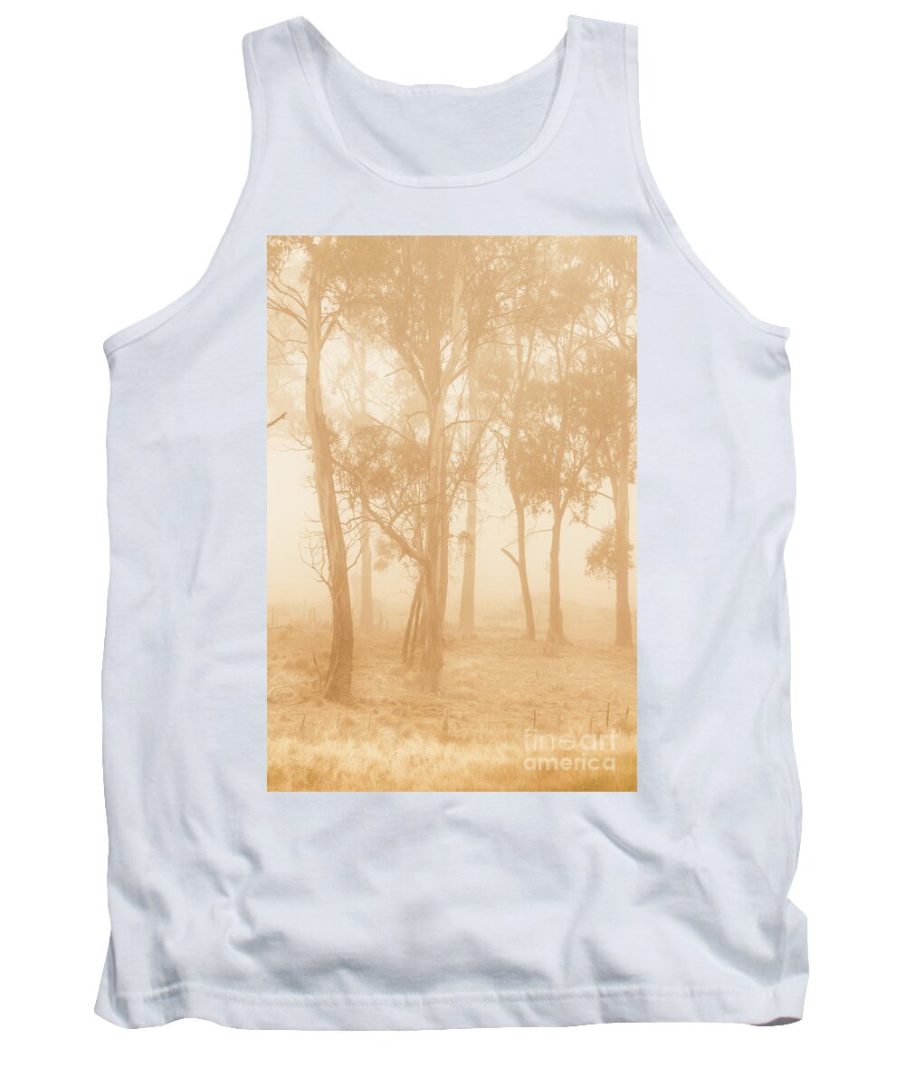 Forest Tank Top featuring the photograph Misty woods by Jorgo Photography