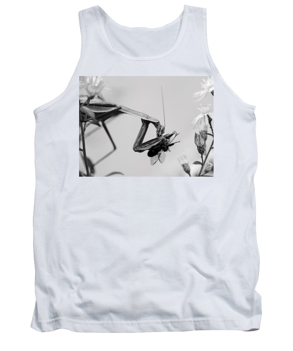 Tenodera Sinensis Tank Top featuring the photograph Monochrome Mantis by Todd Bannor