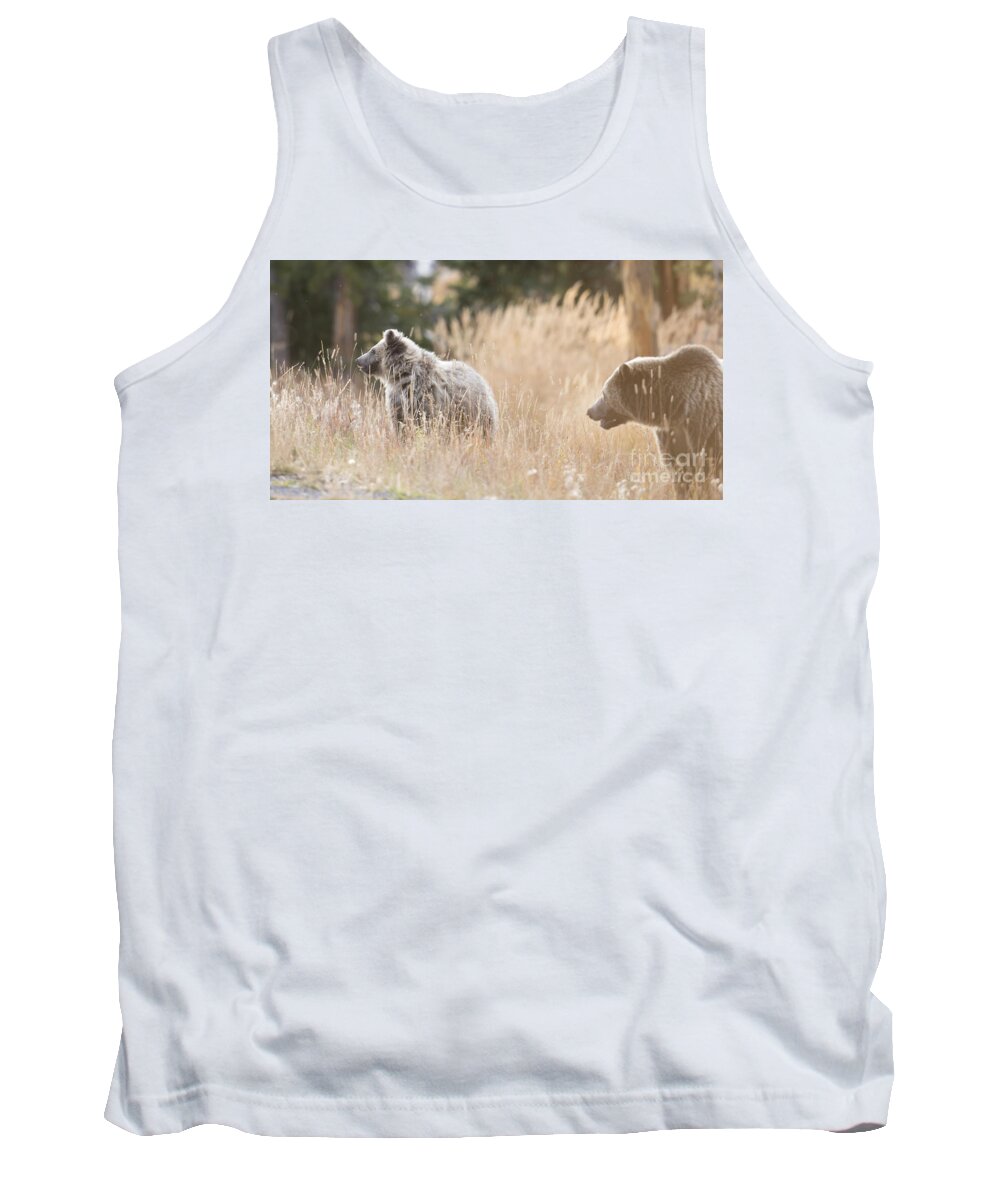 Yellowstone Tank Top featuring the photograph Mother's Love by Deby Dixon