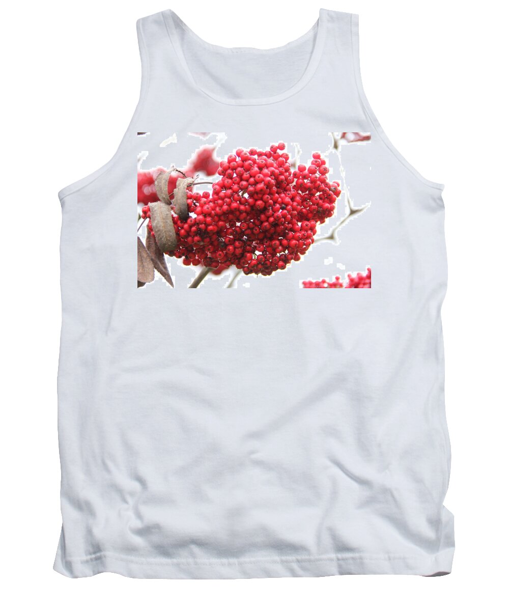 Mountain Ash Tank Top featuring the photograph Mountain Ash Berries by Allen Nice-Webb