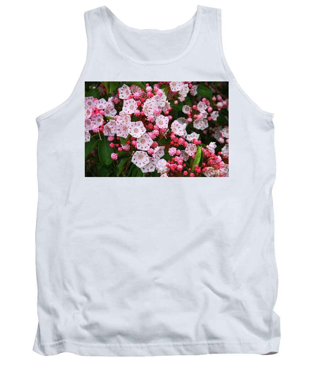 Mountain Laurels Tank Top featuring the photograph Mountain Laurels by Dale R Carlson