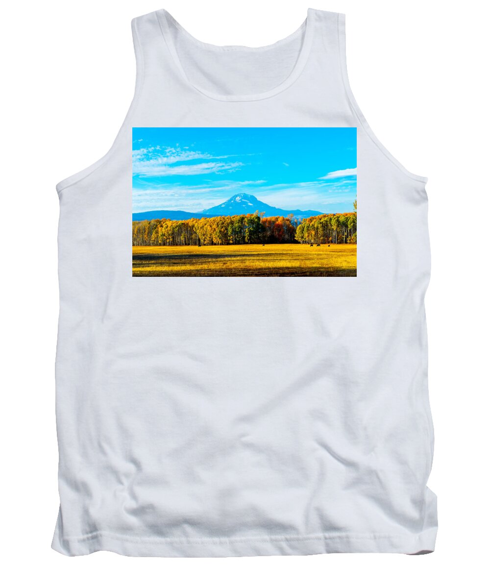 Landscape Tank Top featuring the photograph Mt.Adams in fall by Hisao Mogi