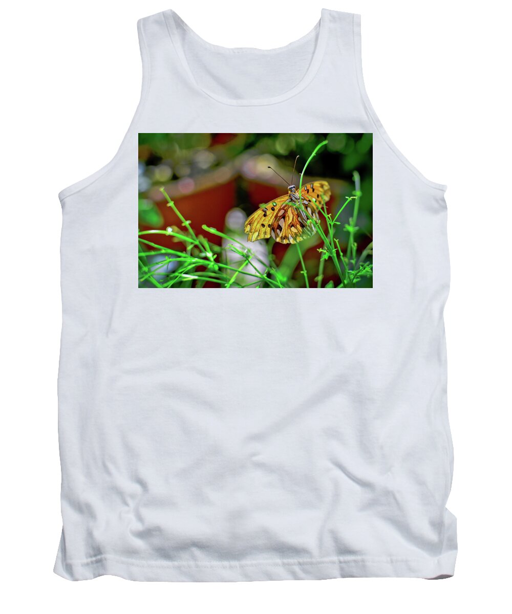 Abstract Tank Top featuring the photograph Nature - Butterfly and Plants by Carlos Alkmin