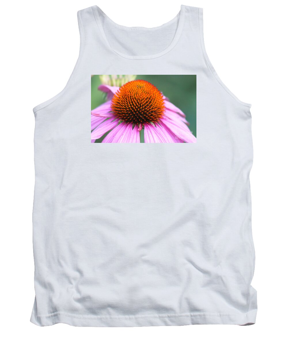 Pink Tank Top featuring the photograph Nature's Beauty 74 by Deena Withycombe