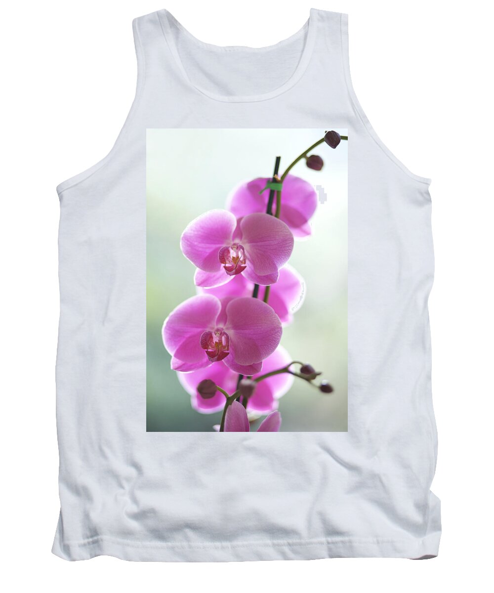 Background Tank Top featuring the photograph Pink Orchids by Kicka Witte - Printscapes