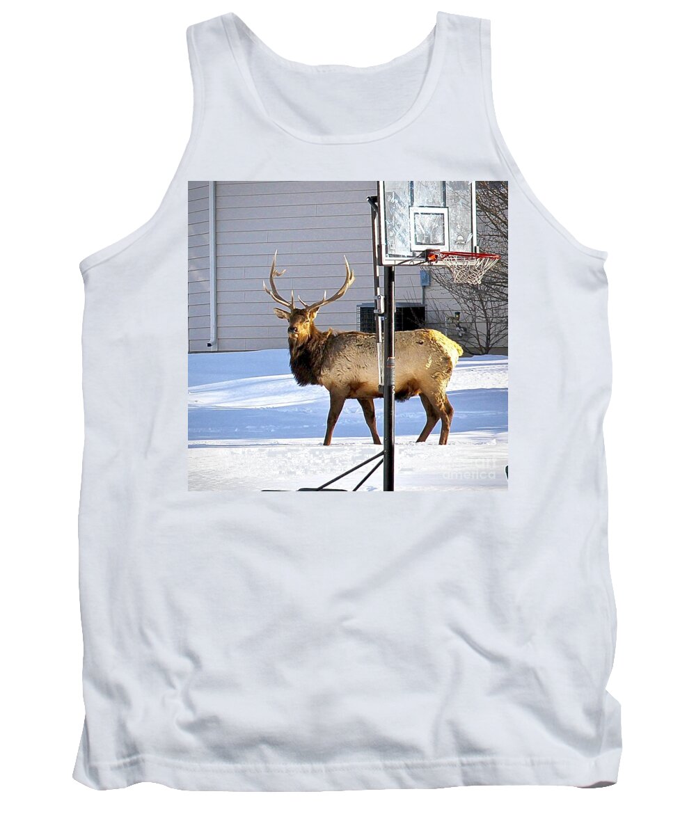 Wapiti Tank Top featuring the photograph He wants to Play? by Elisabeth Derichs