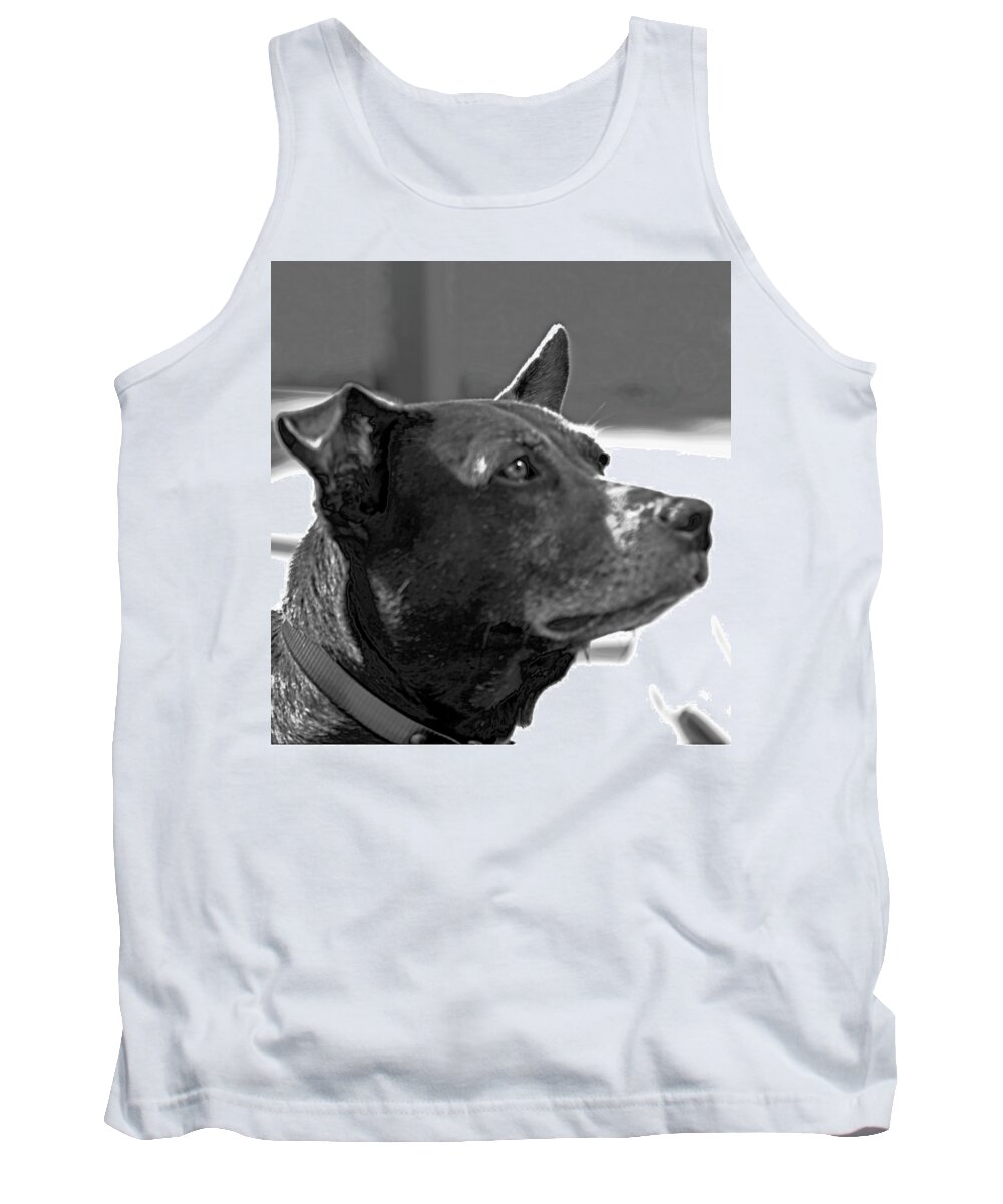 Chocolate Lab Tank Top featuring the photograph Please? by Gina O'Brien