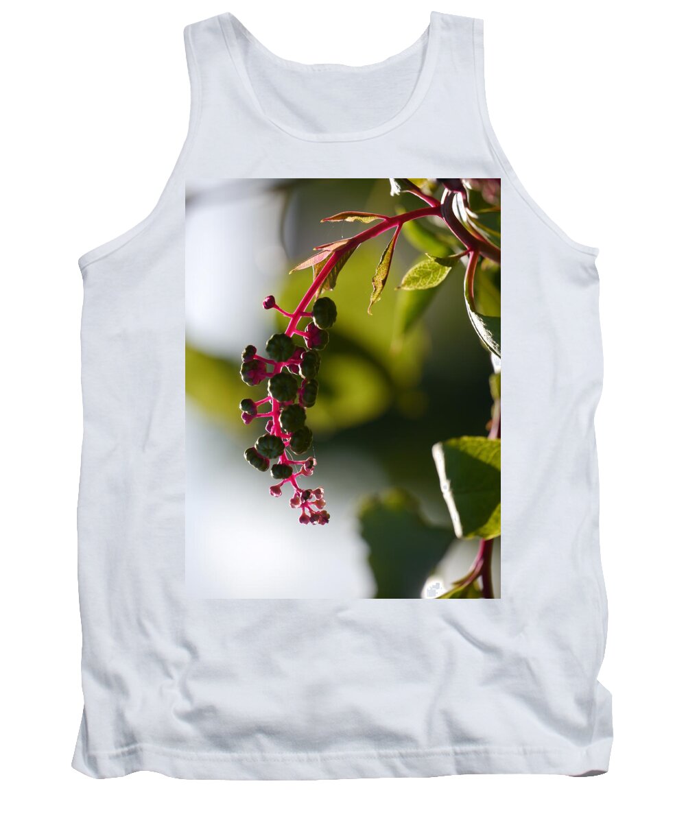 Jane Ford Tank Top featuring the photograph Poke Sallet anyone? by Jane Ford