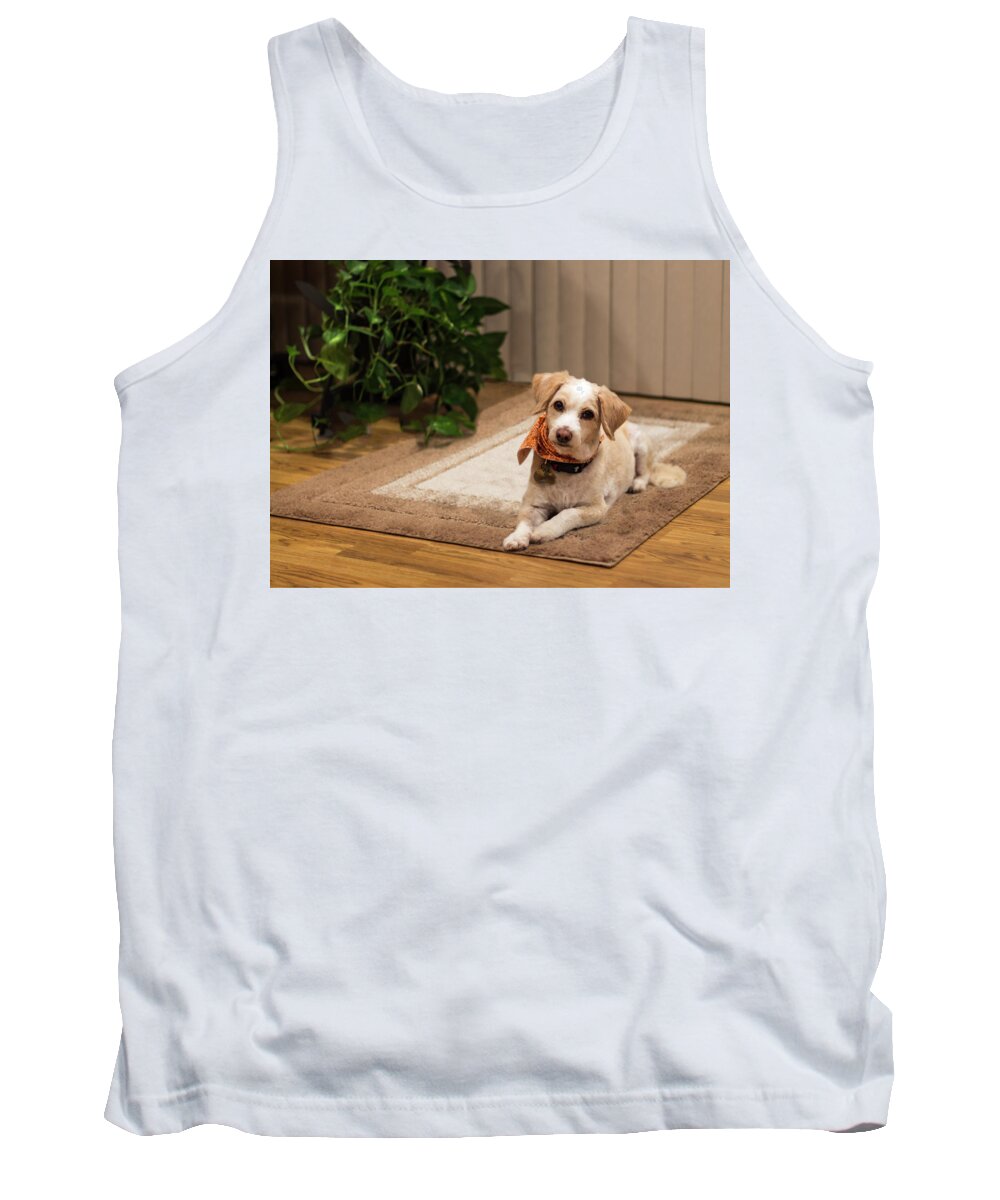 Dog Tank Top featuring the photograph Portrait of a Dog by Ed Clark