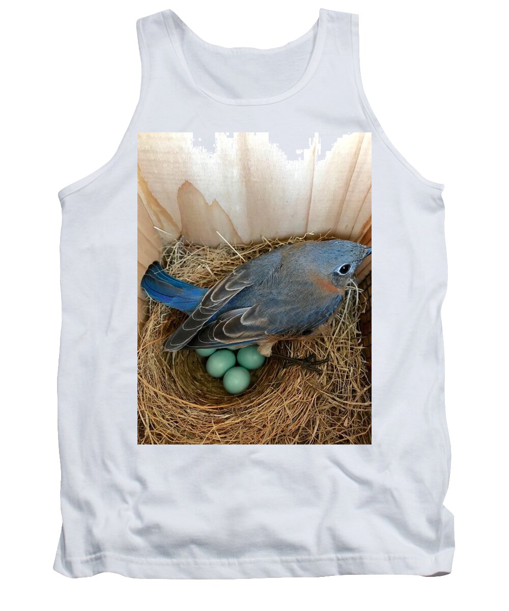 Bluebird Tank Top featuring the photograph Protected by Jackson Pearson