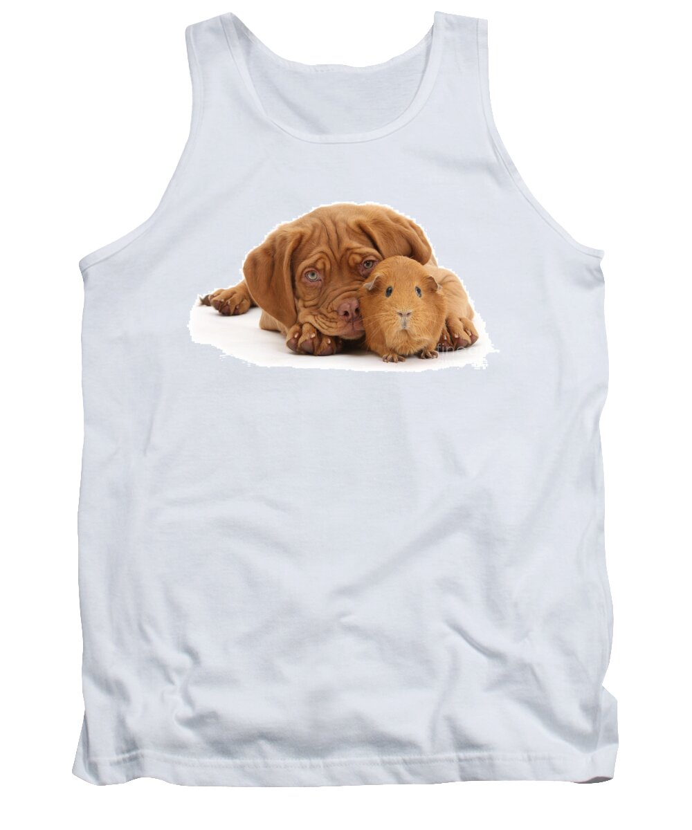 Guinea Pig Tank Top featuring the photograph Red Guinea pig and Dogue de Bordeaux by Warren Photographic