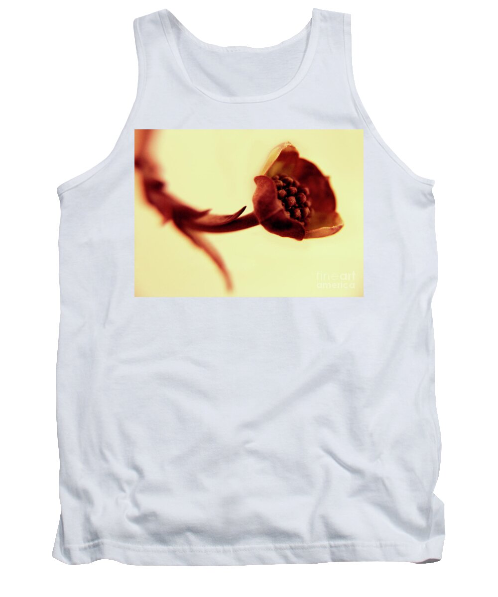 Bloom Tank Top featuring the photograph Repose by Dana DiPasquale