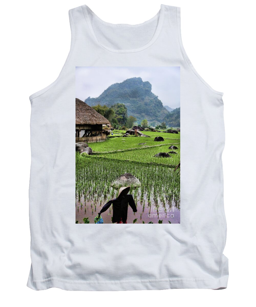 Sapa Tank Top featuring the photograph Rice fields by Chuck Kuhn