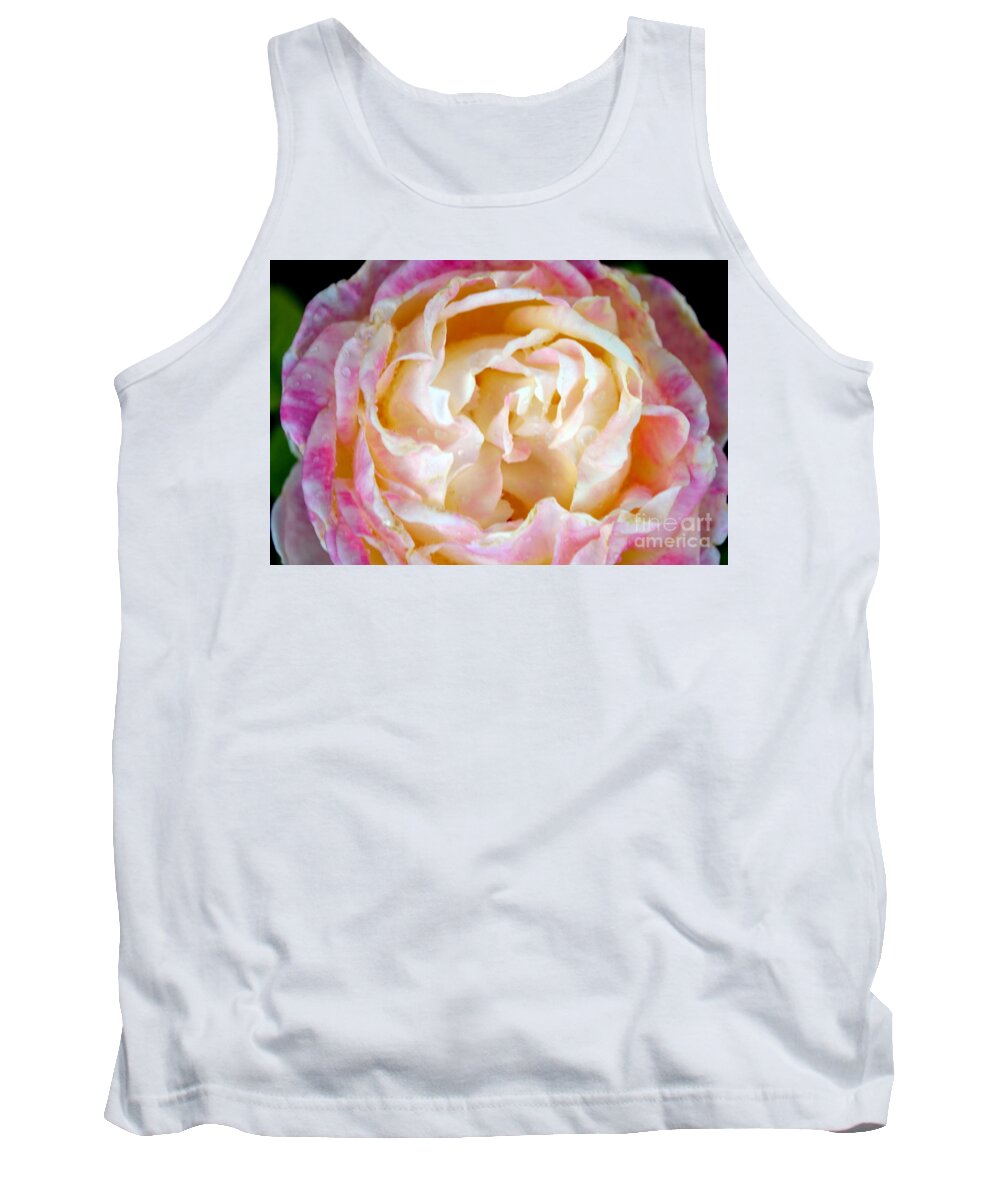 Rose Tank Top featuring the photograph Roses 2 by Diane montana Jansson