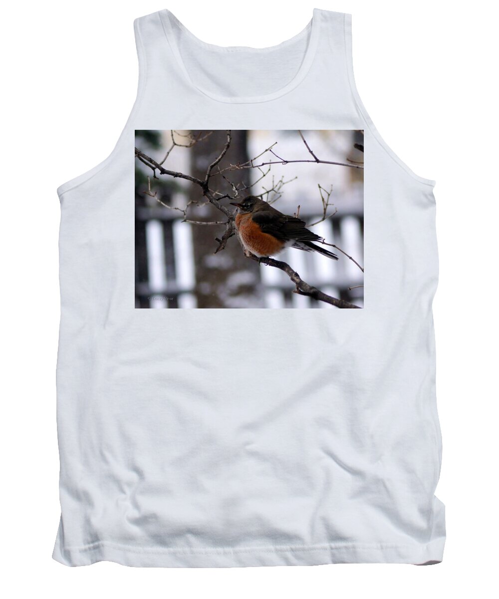 Nature Tank Top featuring the photograph Rusty by Tracey Vivar