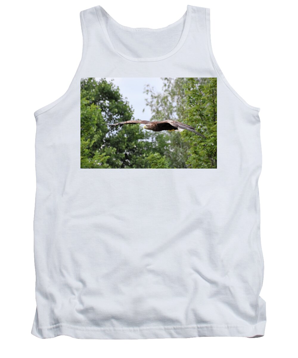 White Tailed Tank Top featuring the photograph Sea Eagle by Kuni Photography