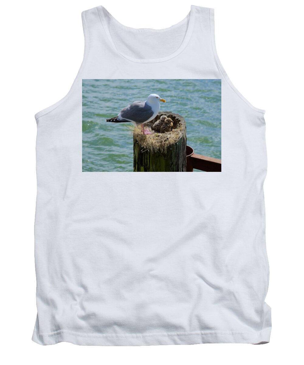 Seagull Tank Top featuring the photograph Seagull Family by Richard J Cassato