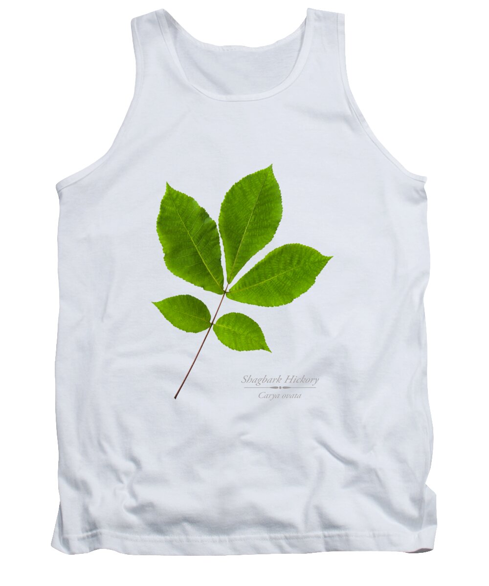 Leaves Tank Top featuring the photograph Shagbark Hickory Leaves by Christina Rollo