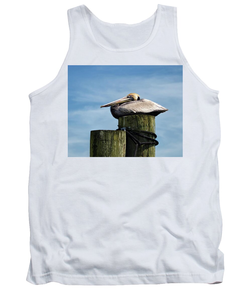 Pelican Tank Top featuring the photograph Siesta by Richard Macquade