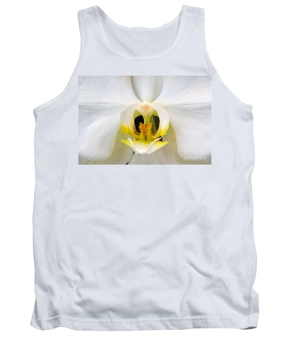 Simplicitymoth Orchid Tank Top featuring the photograph Simplicity by Jemmy Archer