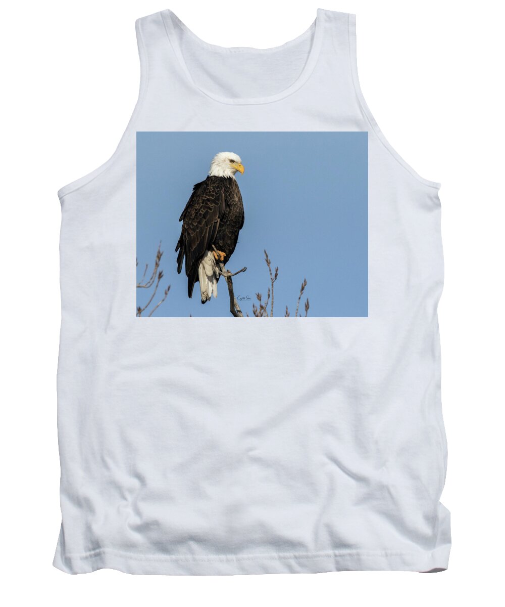 Eagle Tank Top featuring the photograph Sitting on top by Crystal Socha