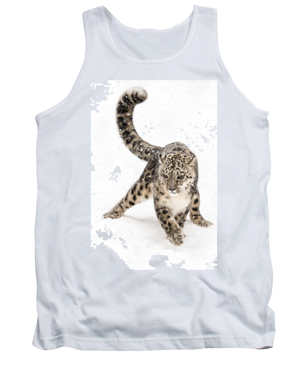 Animal Tank Top featuring the photograph Snow Leopard on the Prowl VIII by Abeselom Zerit