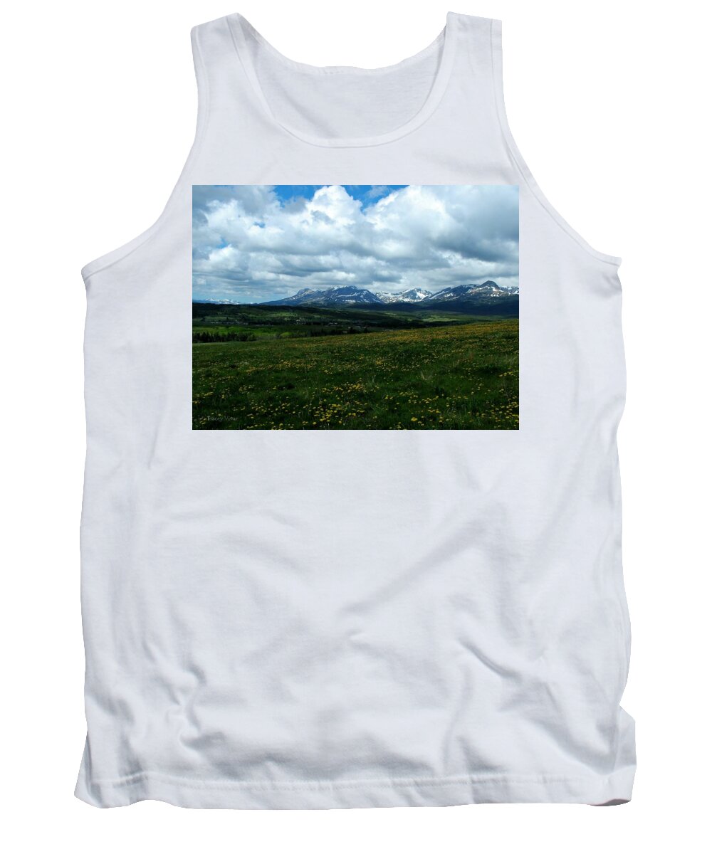 Landscapes Tank Top featuring the photograph Springtime in the Rockies by Tracey Vivar