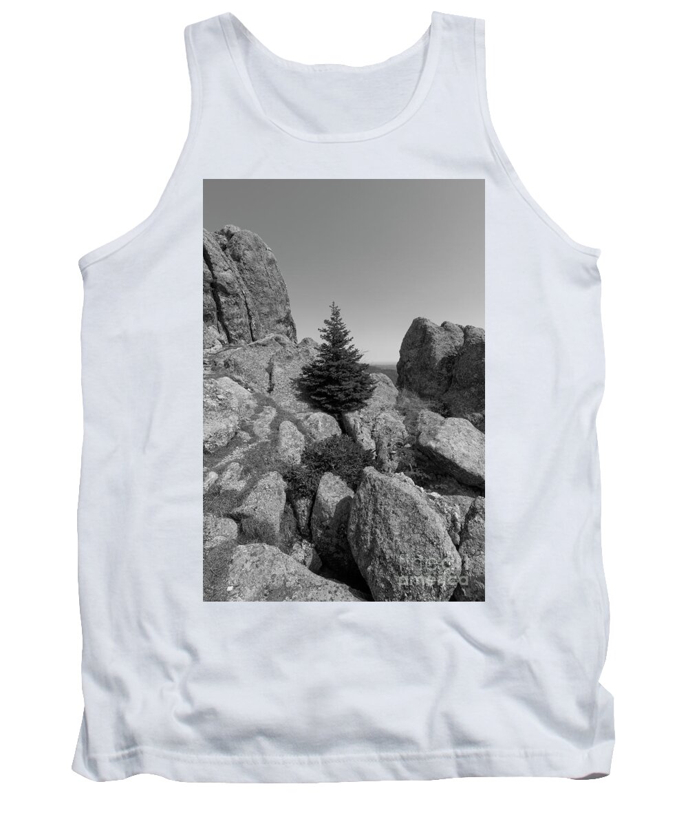 Tree Tank Top featuring the photograph Standing Watch by Steve Triplett